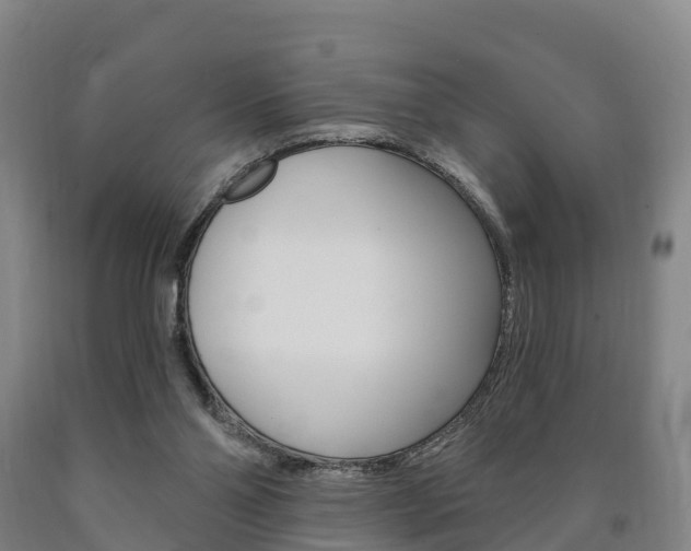 X0000090910110200707301041