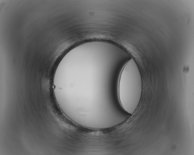 X0000090910112200707301041