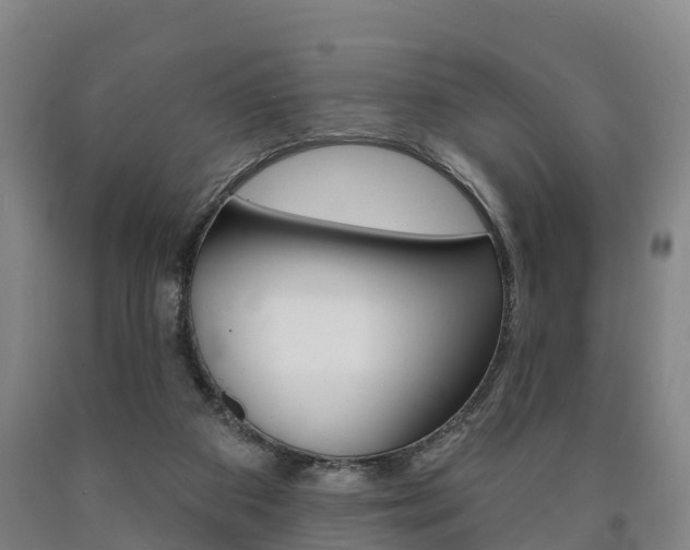 X0000090910113200707301041