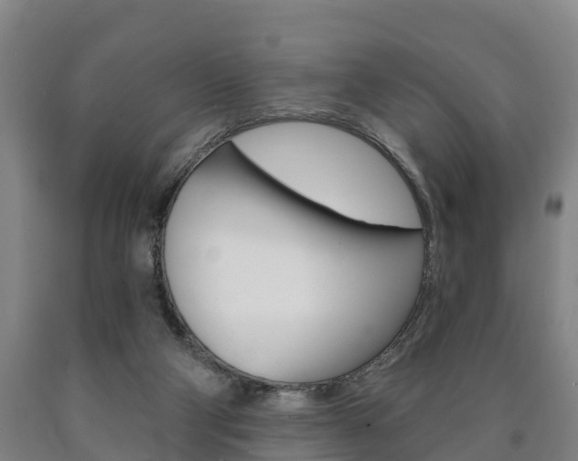 X0000090910114200707301041
