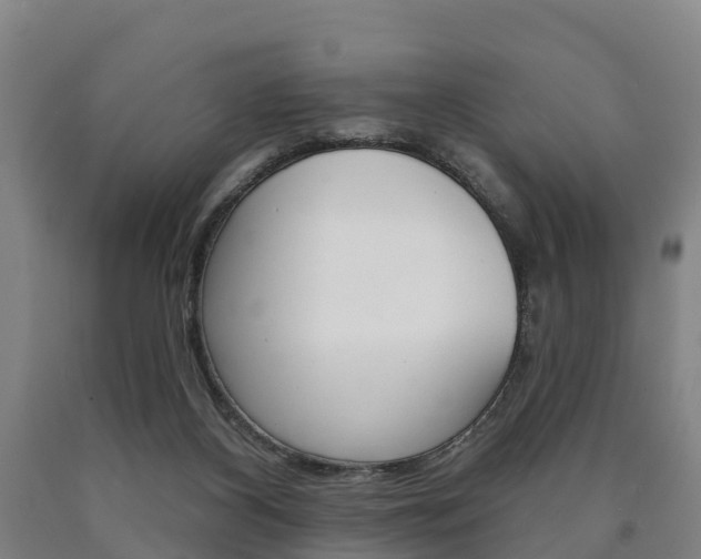 X0000090910116200707301041