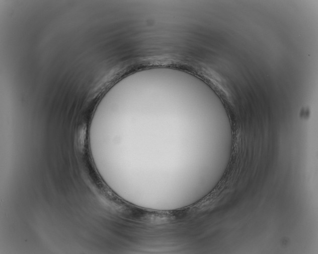 X0000090910118200707301041
