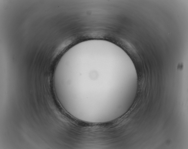 X0000090910120200707301041