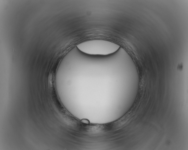 X0000090910122200707301041
