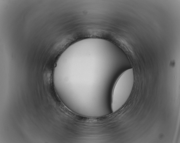 X0000090910123200707301041