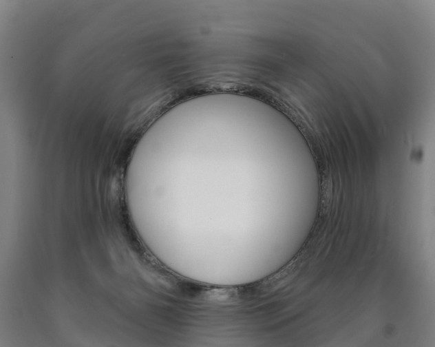 X0000090910126200707301041