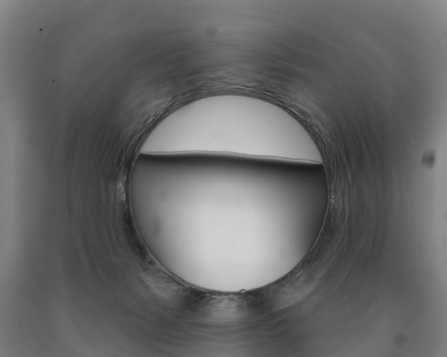 X0000090910127200707301041