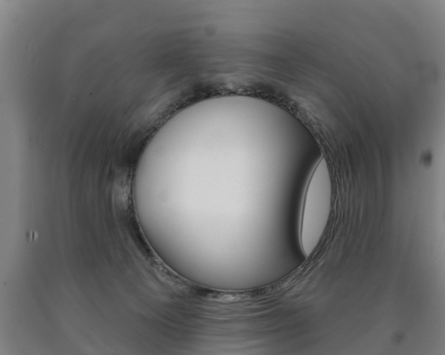 X0000090910129200707301041