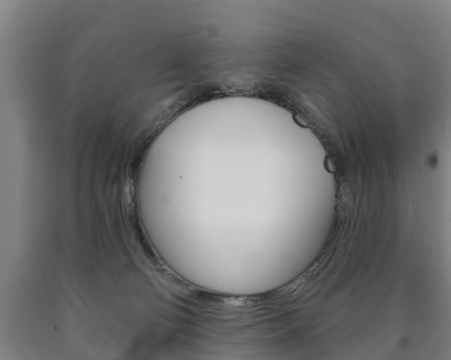 X0000090910130200707301041