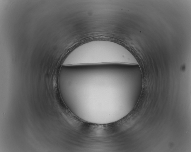X0000090910131200707301041