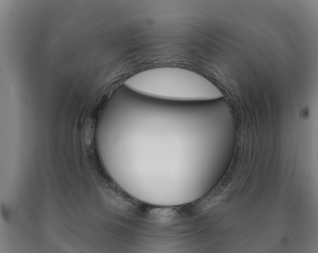 X0000090910133200707301041