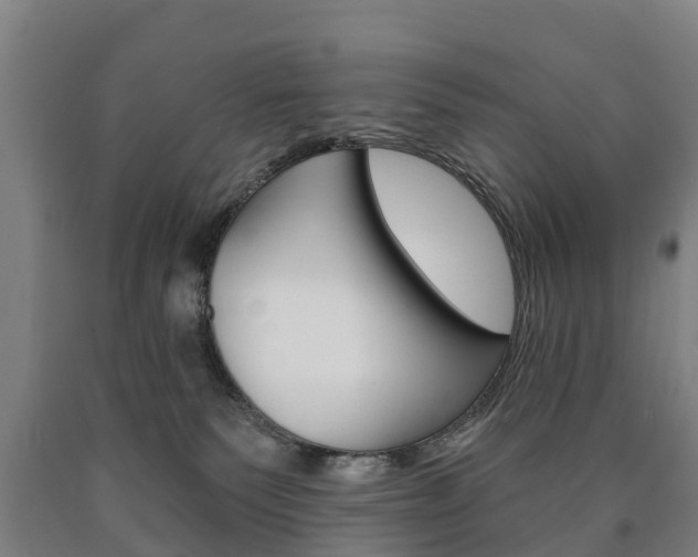 X0000090910135200707301041