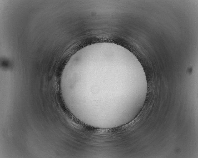 X0000090910136200707301041