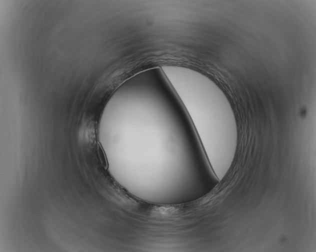 X0000090910137200707301041