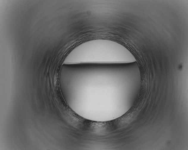 X0000090910139200707301041