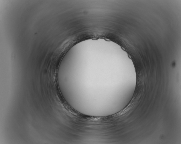 X0000090910140200707301041