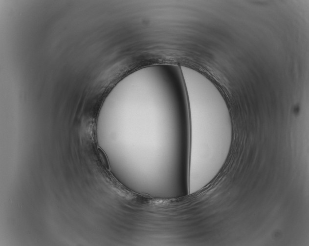 X0000090910141200707301041