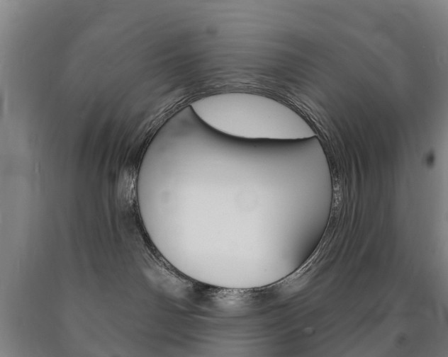 X0000090910142200707301041