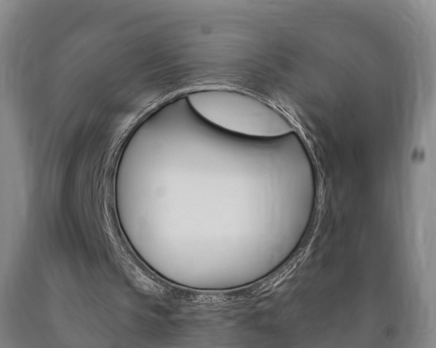 X0000090910145200707301040