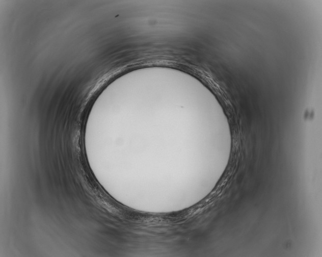 X0000090910146200707301040