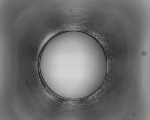 X0000090910147200707301040