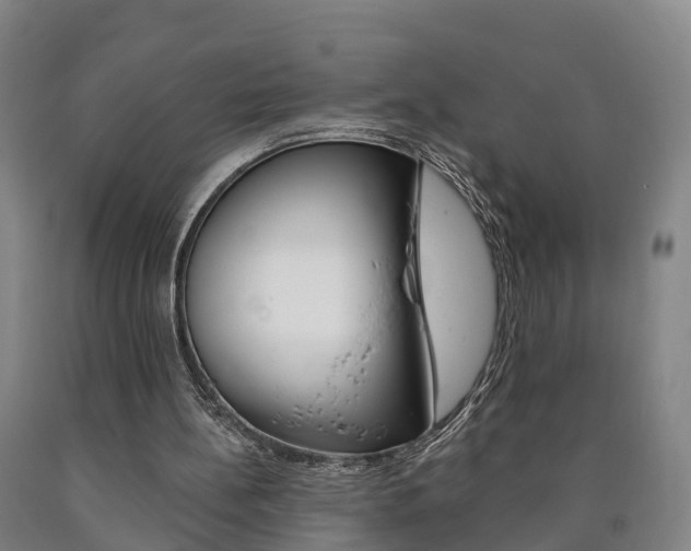 X0000090910148200707301040