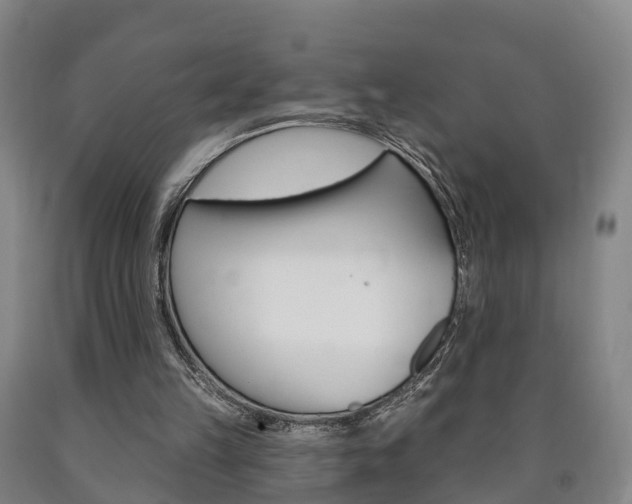 X0000090910149200707301040
