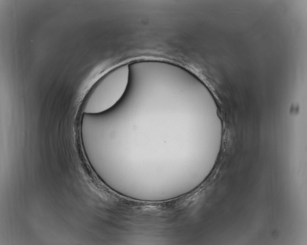 X0000090910151200707301040