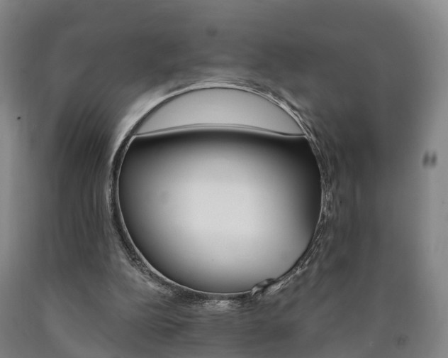 X0000090910152200707301040