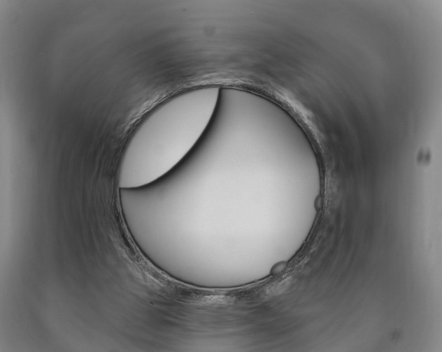 X0000090910153200707301040