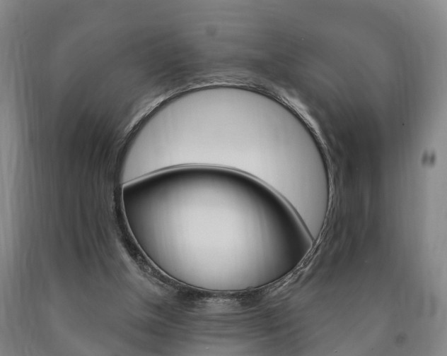 X0000090910154200707301040