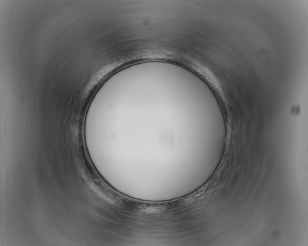 X0000090910155200707301040