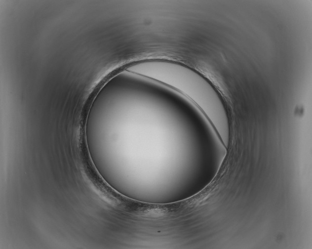X0000090910156200707301040