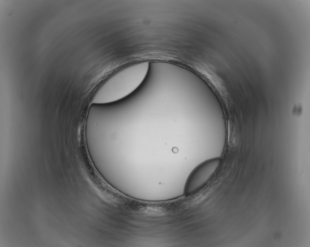 X0000090910157200707301040
