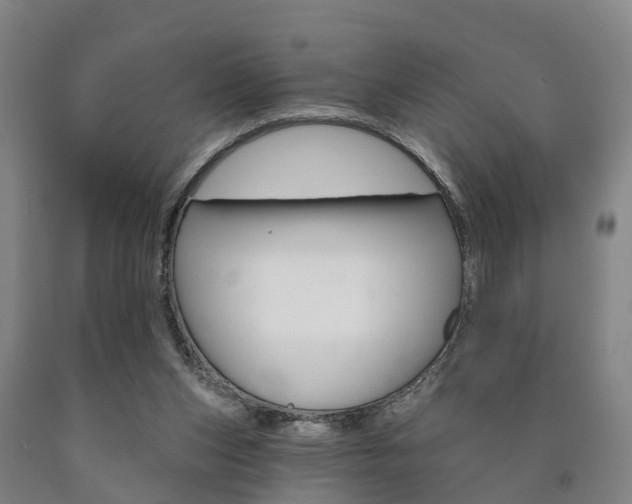 X0000090910159200707301040