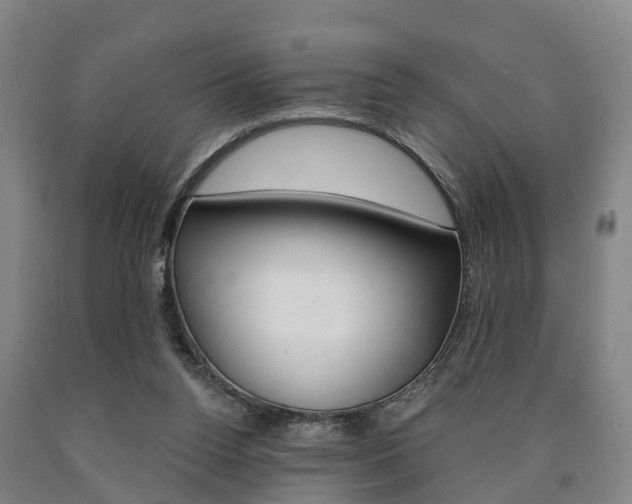 X0000090910160200707301040