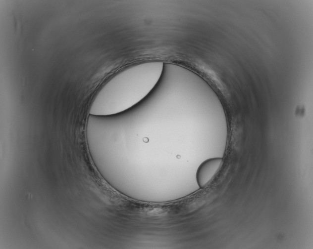 X0000090910161200707301040