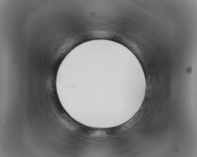 X0000090910162200707301040