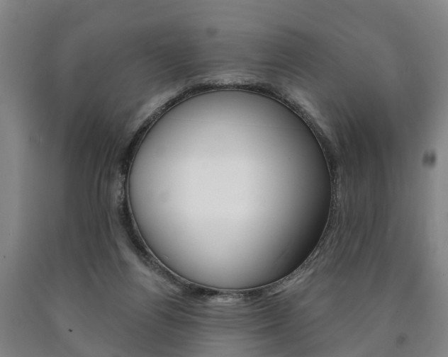 X0000090910164200707301040