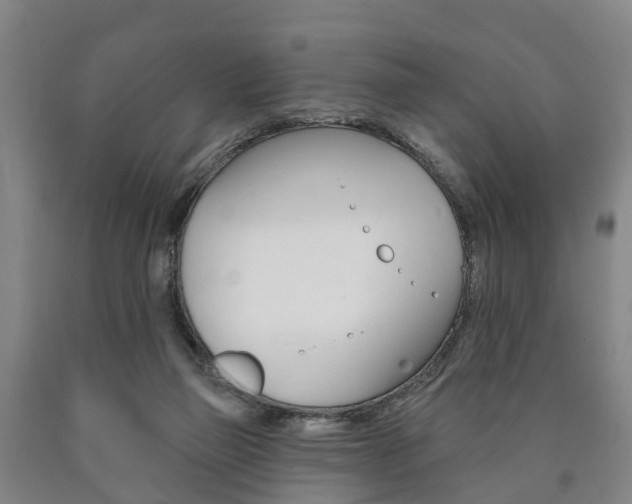 X0000090910165200707301040