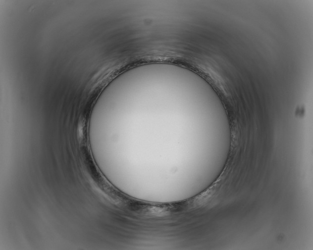 X0000090910166200707301040