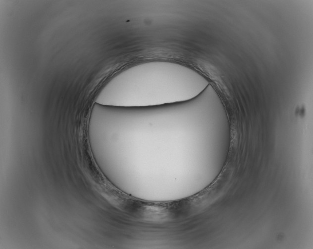 X0000090910167200707301040