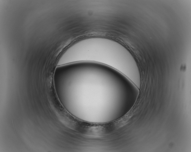 X0000090910168200707301040