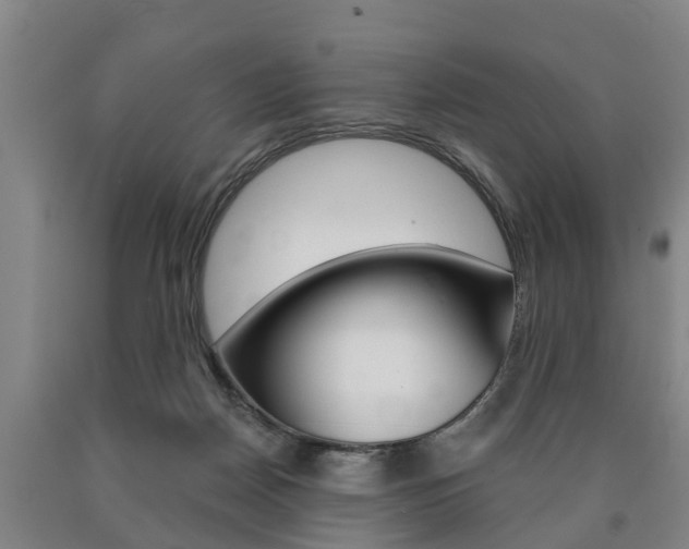 X0000090910170200707301040