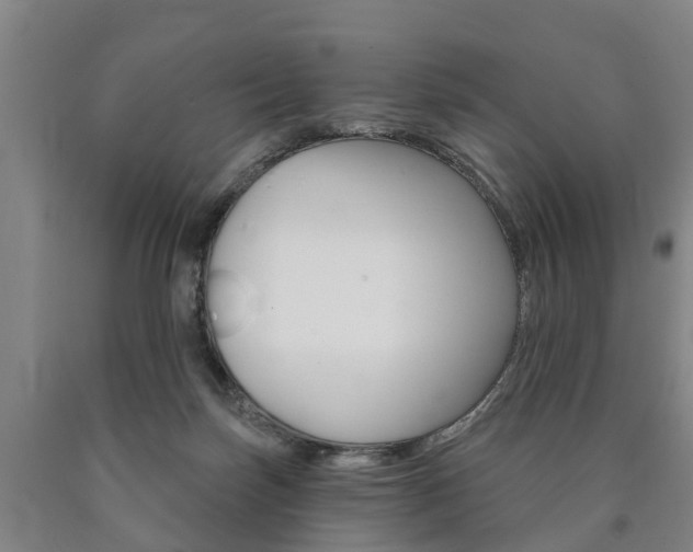 X0000090910171200707301040