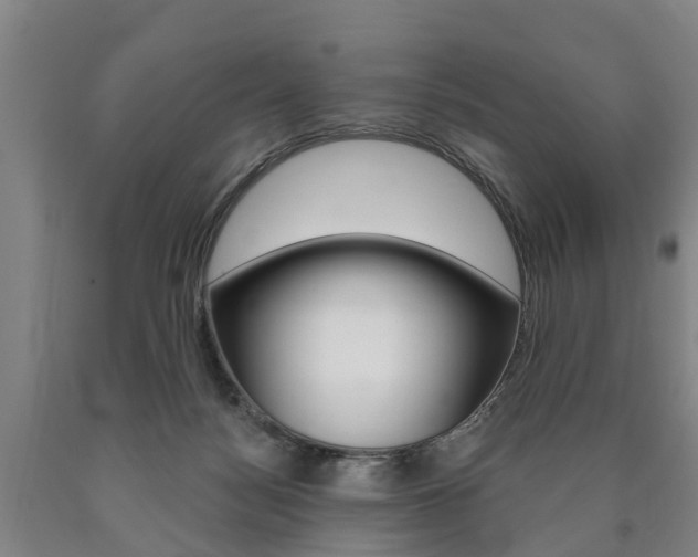 X0000090910172200707301040
