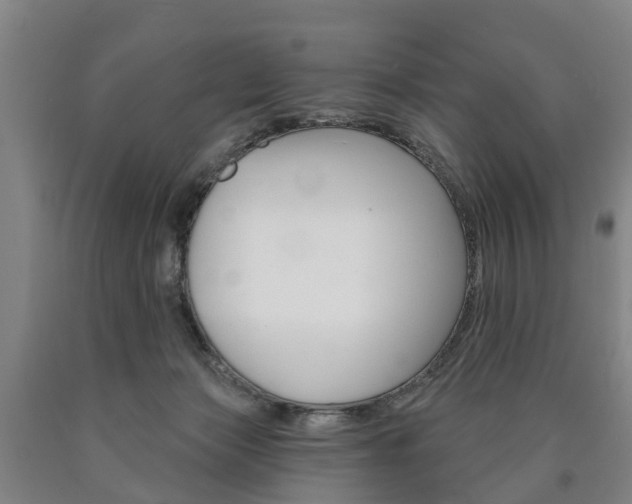 X0000090910173200707301040
