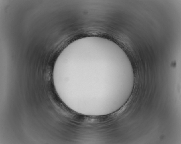 X0000090910174200707301040