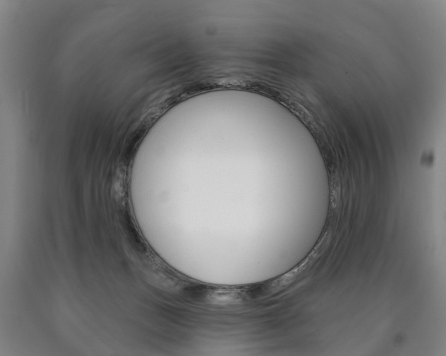 X0000090910175200707301040