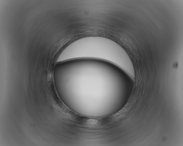 X0000090910176200707301040